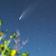 Illustration for article titled Comet NEOWISE, The Fourth And (Probably) Final Take